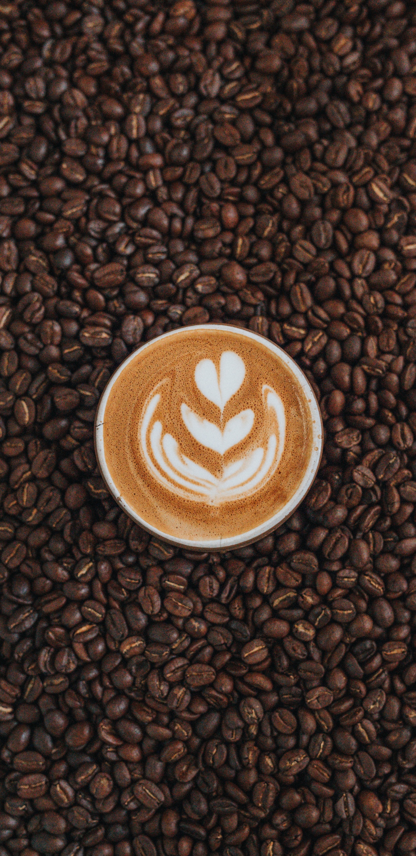 Weiße Keramiktasse Auf Braunen Kaffeebohnen. Wallpaper in 1440x2960 Resolution