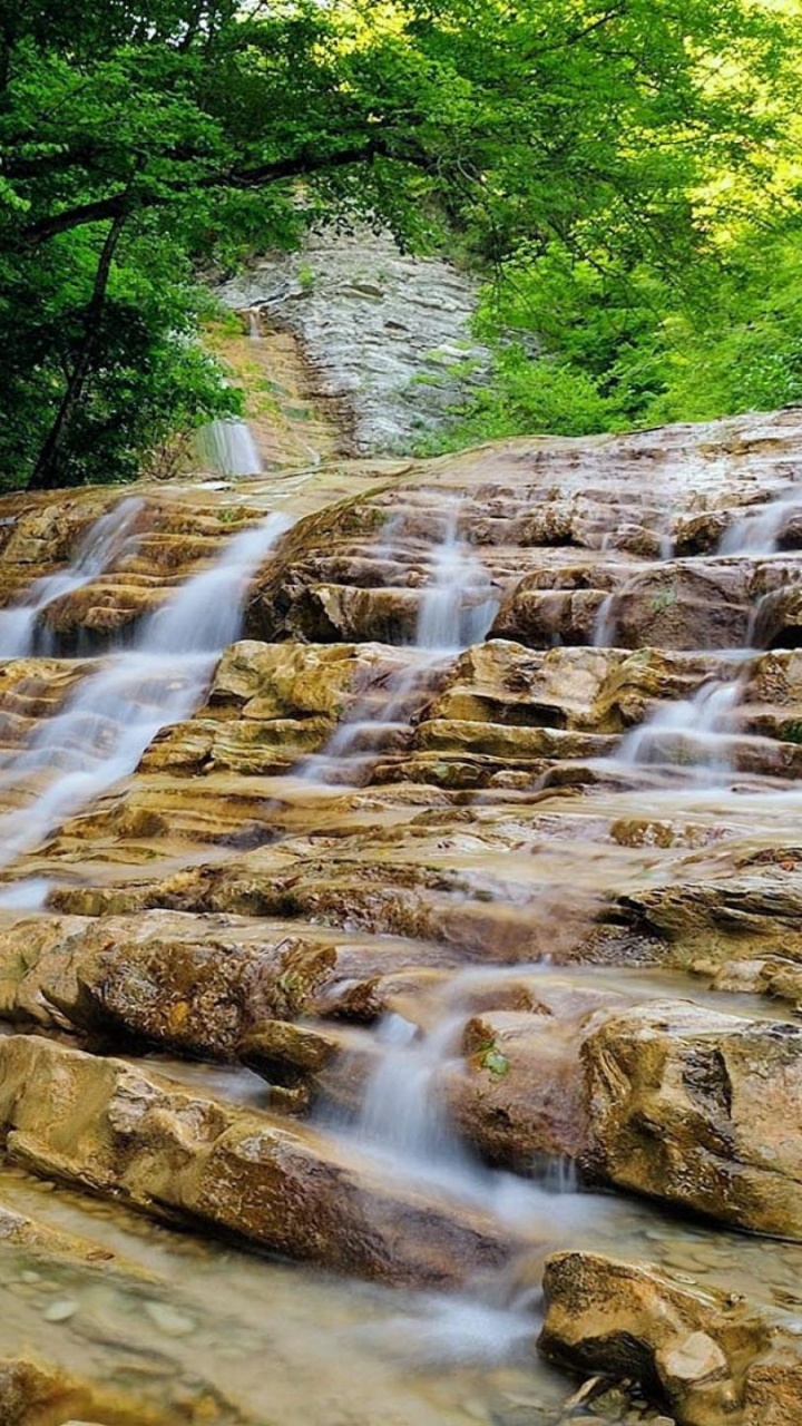 el Agua Cae en Medio Del Bosque. Wallpaper in 720x1280 Resolution