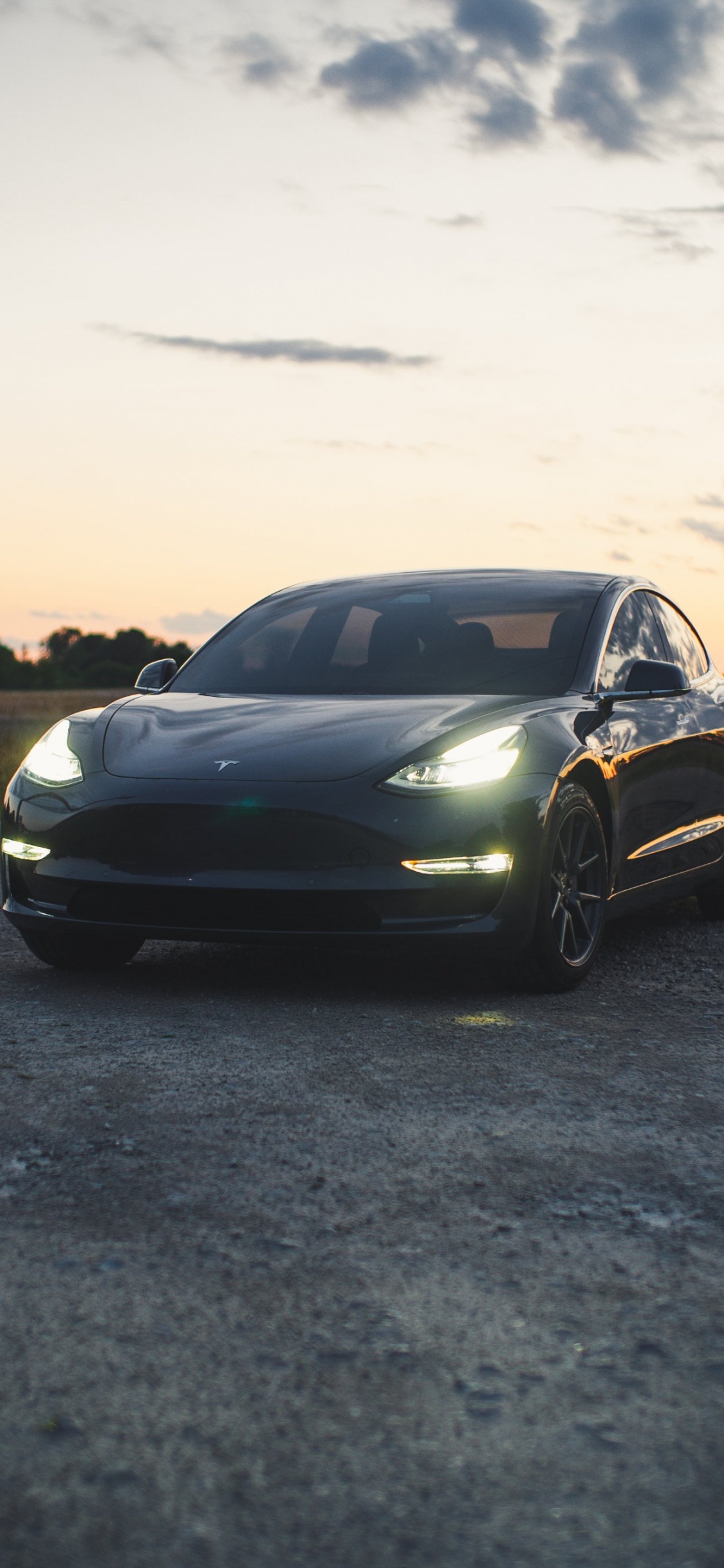 Tesla Model 3, Tesla, King, Tesla Model S, Electric Car. Wallpaper in 1125x2436 Resolution