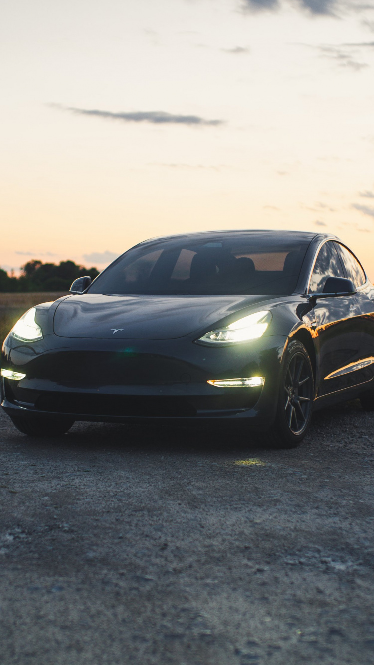 Tesla Model 3, Tesla, King, Tesla Model S, Electric Car. Wallpaper in 750x1334 Resolution