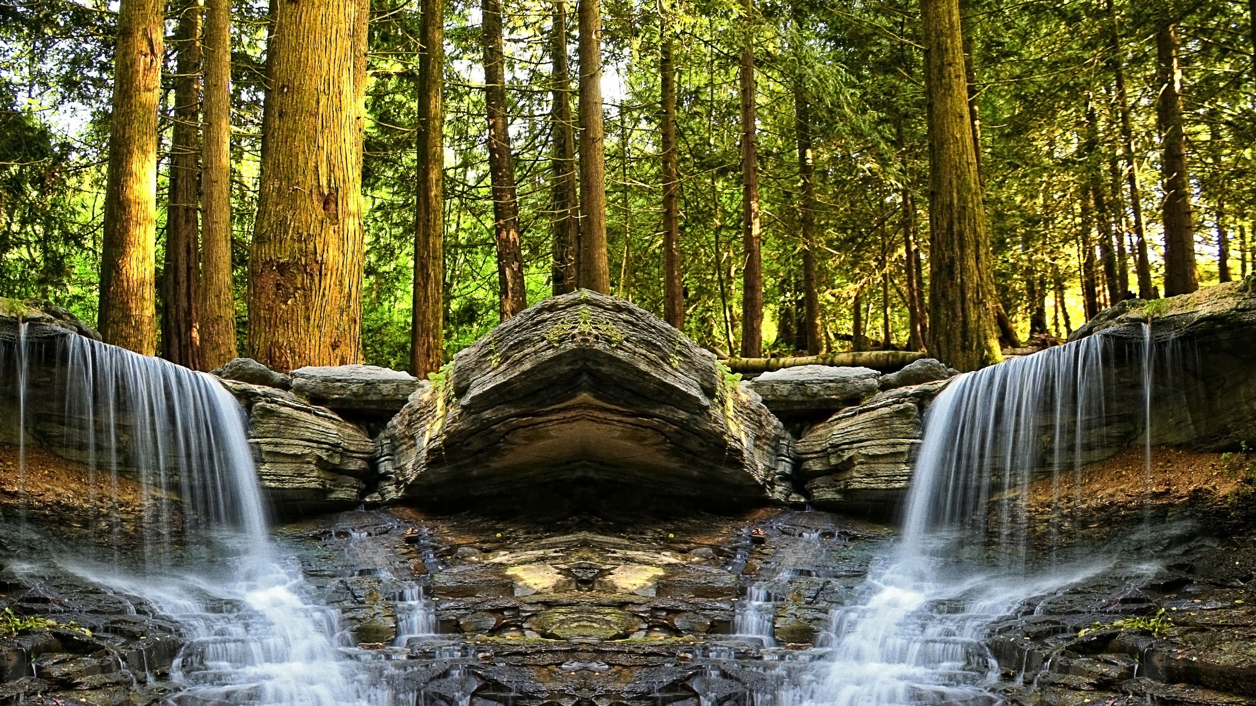 Braune Und Grüne Bäume am Fluss Tagsüber Beside. Wallpaper in 2560x1440 Resolution