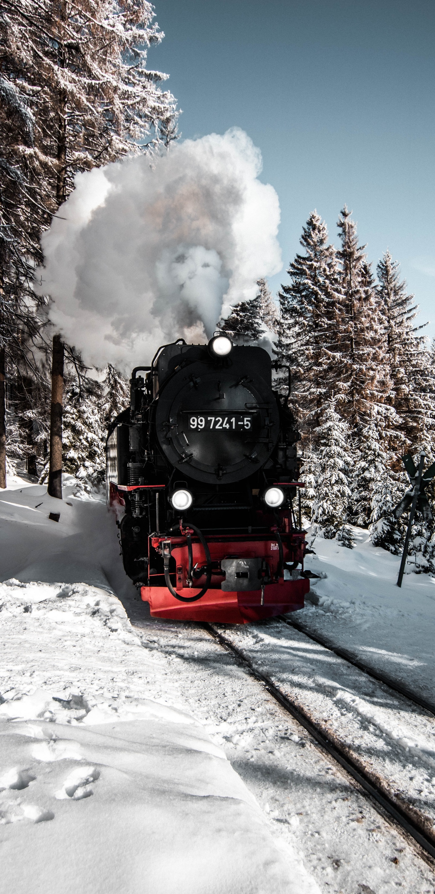 Train Rouge et Noir Sur Les Voies Ferrées Près Des Arbres Pendant la Journée. Wallpaper in 1440x2960 Resolution