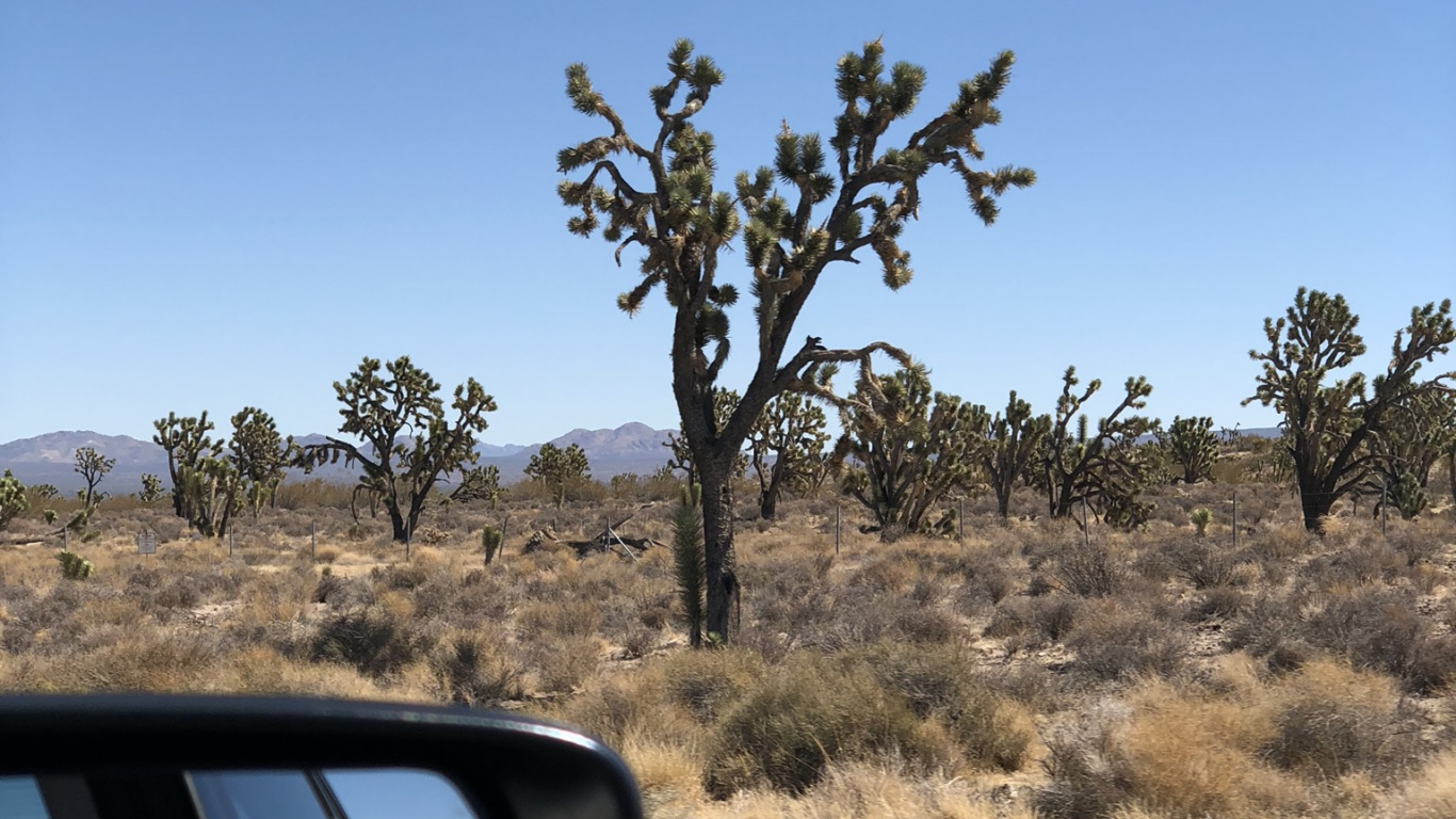 植物群, 后视镜, 汽车外, 沥青 壁纸 1366x768 允许