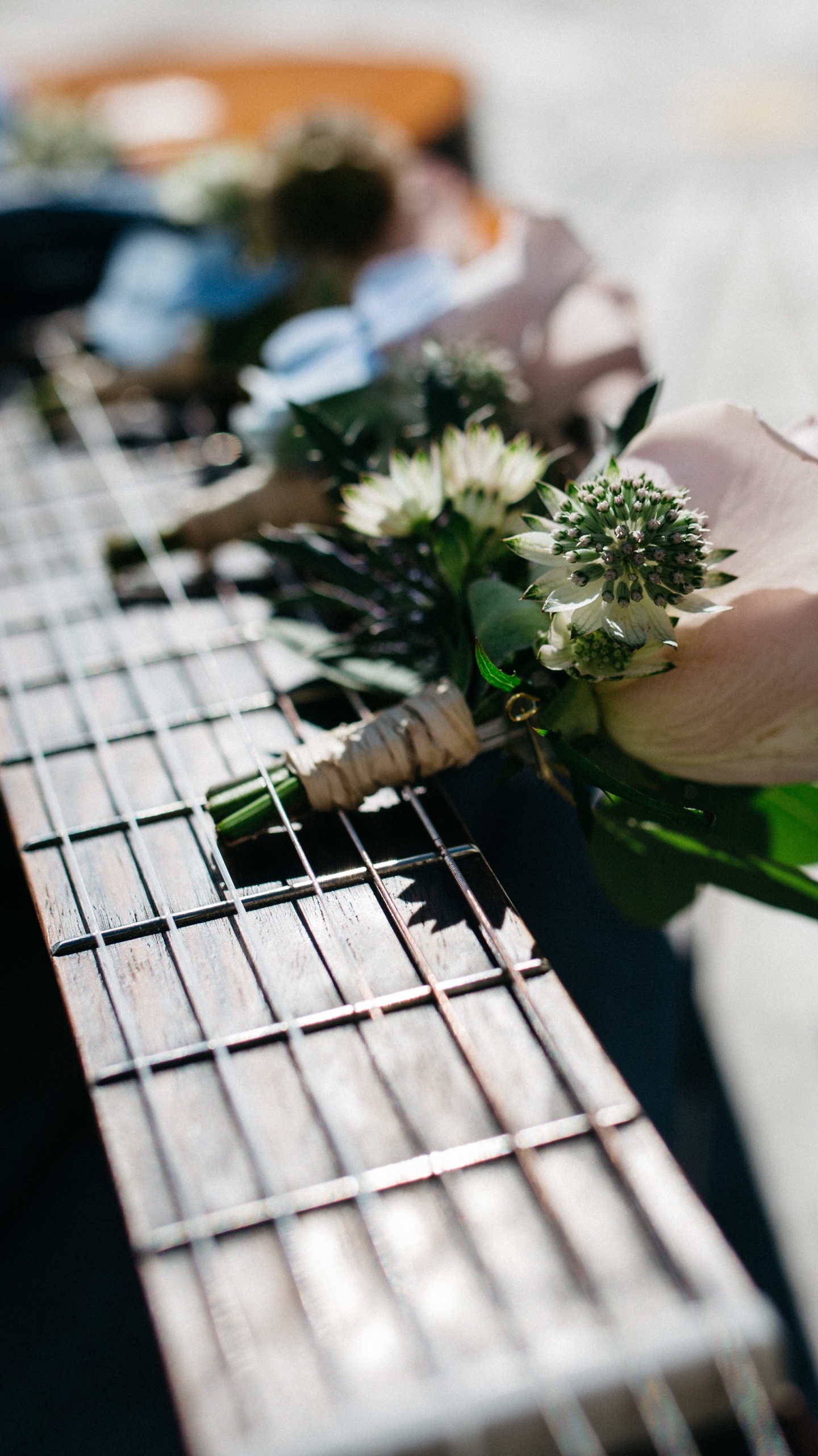 Guitar, Acoustic Guitar, Flower, Plant, Plucked String Instruments. Wallpaper in 1440x2560 Resolution