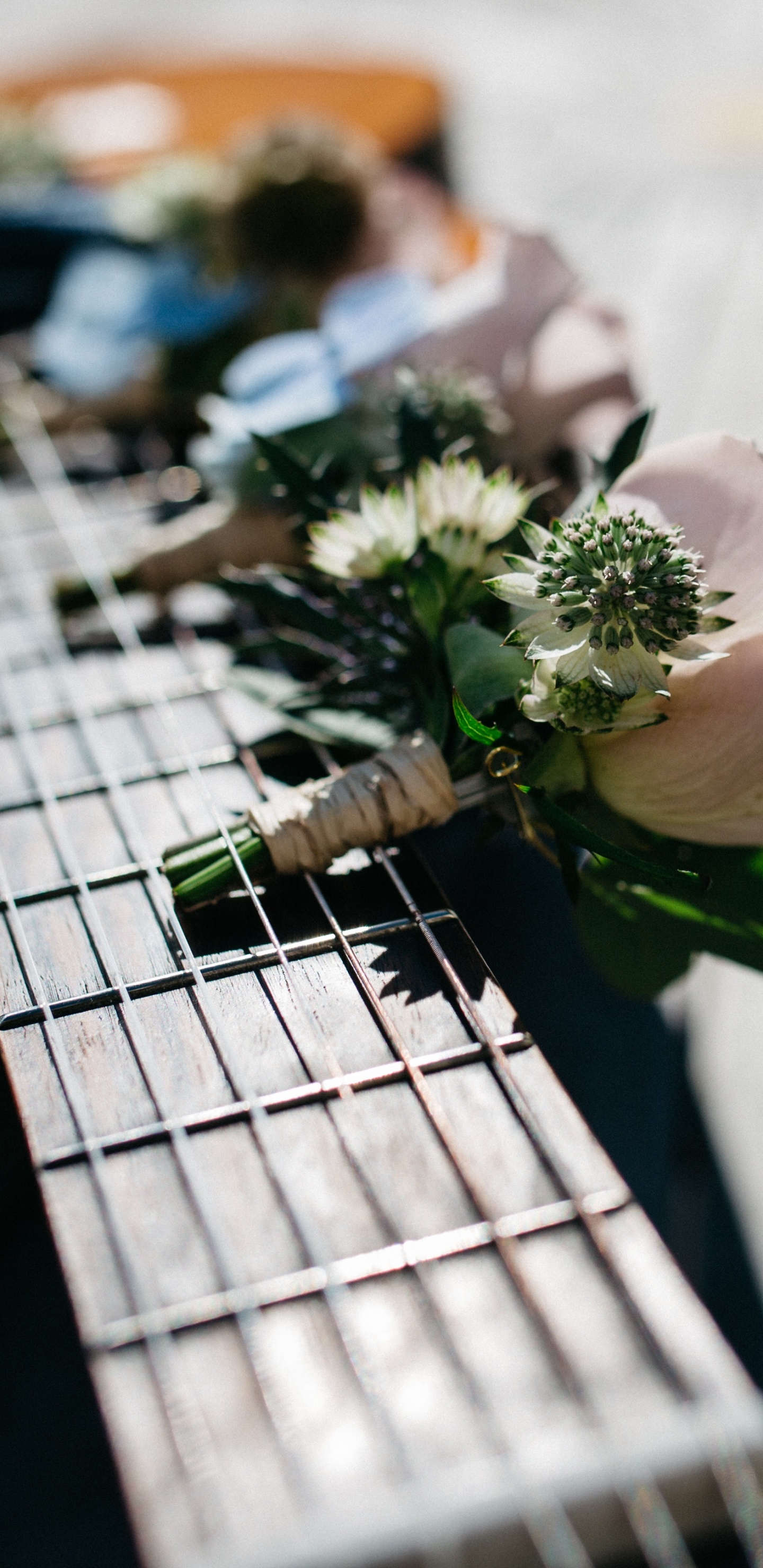 Guitar, Acoustic Guitar, Flower, Plant, Plucked String Instruments. Wallpaper in 1440x2960 Resolution