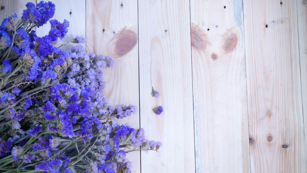 Règne de Brayshaw, Lavande, Aster, Table, Livre. Wallpaper in 1280x720 Resolution
