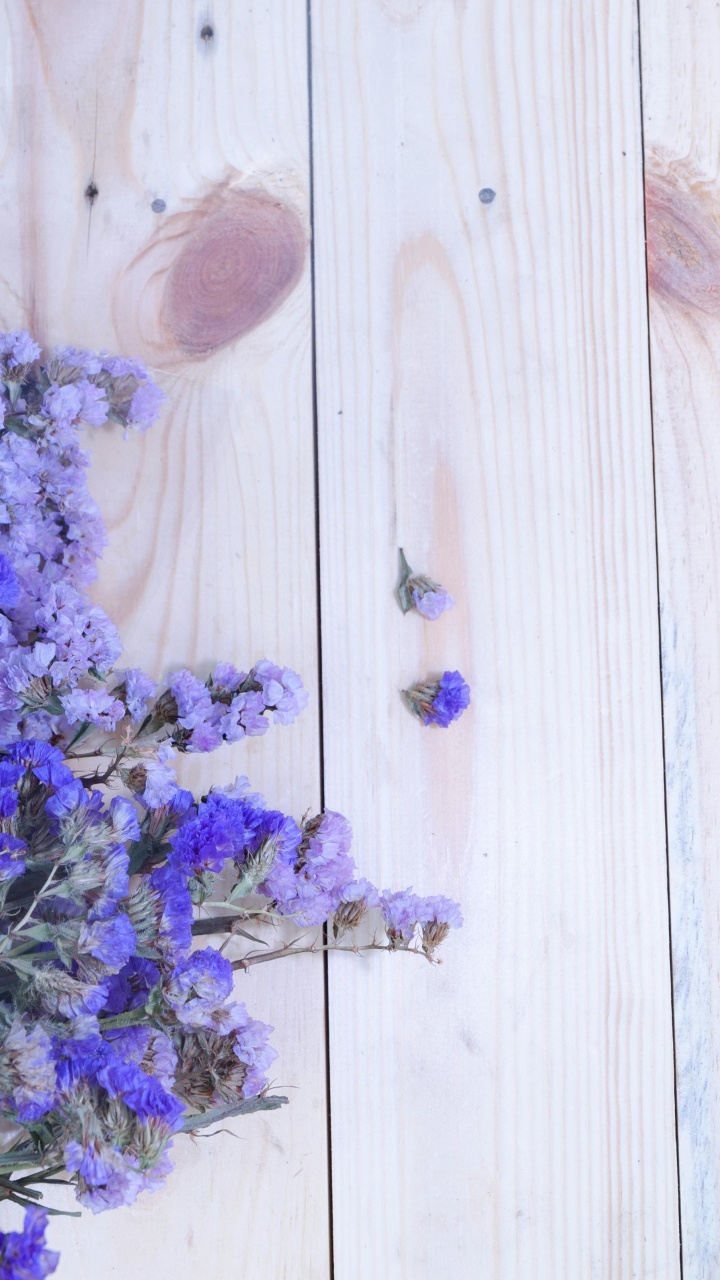 Reign of Brayshaw, Flower, Lavender, Aster, Table. Wallpaper in 720x1280 Resolution