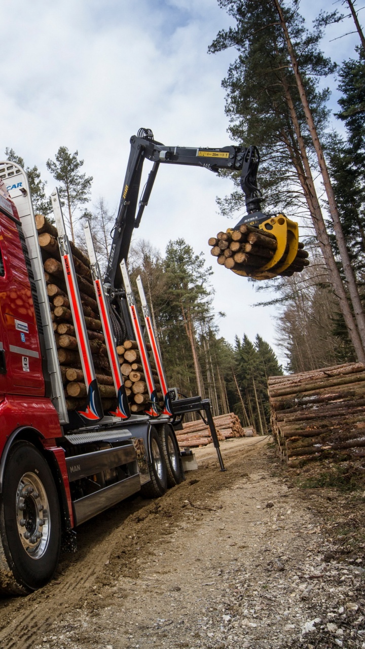 Camion Rouge et Blanc Sur Sable Gris Pendant la Journée. Wallpaper in 720x1280 Resolution