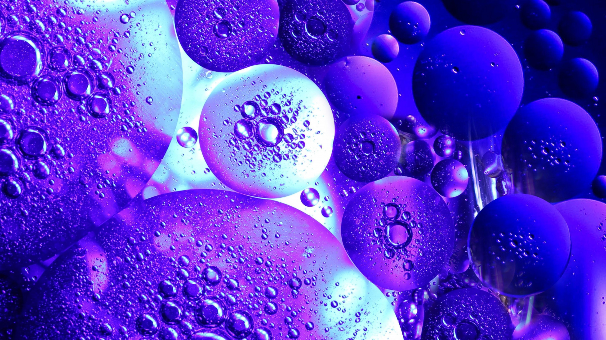 Ilustración de Burbujas Púrpuras y Blancas. Wallpaper in 2560x1440 Resolution