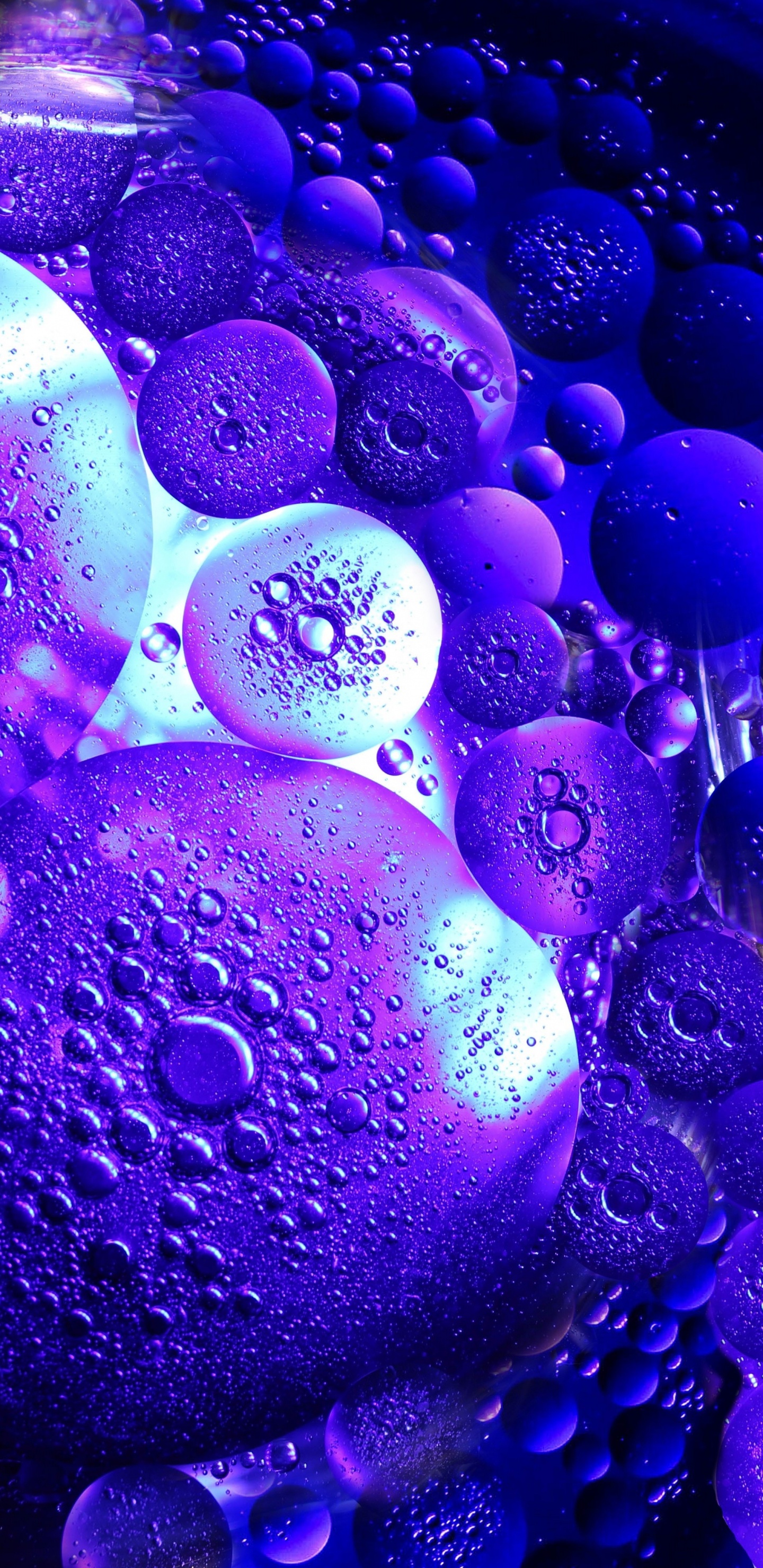 Lila Und Weiße Blasen Abbildung. Wallpaper in 1440x2960 Resolution