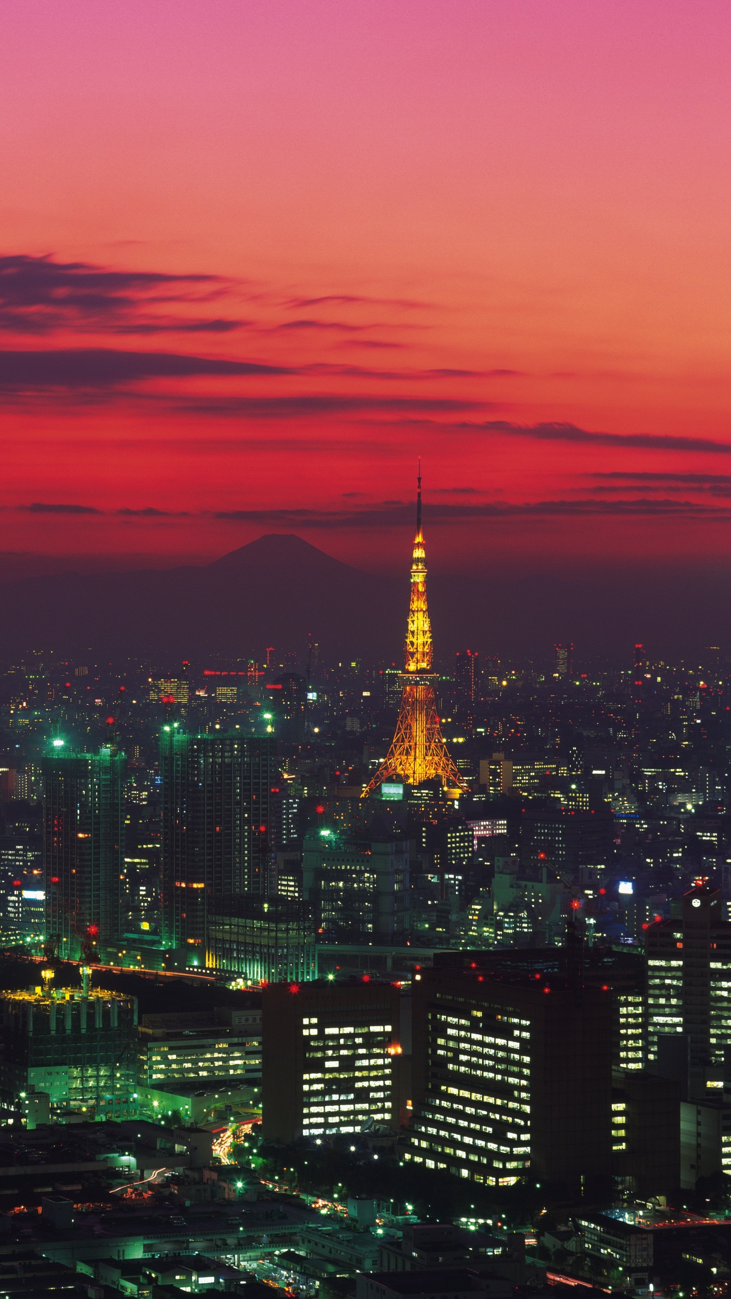 City Skyline During Night Time. Wallpaper in 1440x2560 Resolution