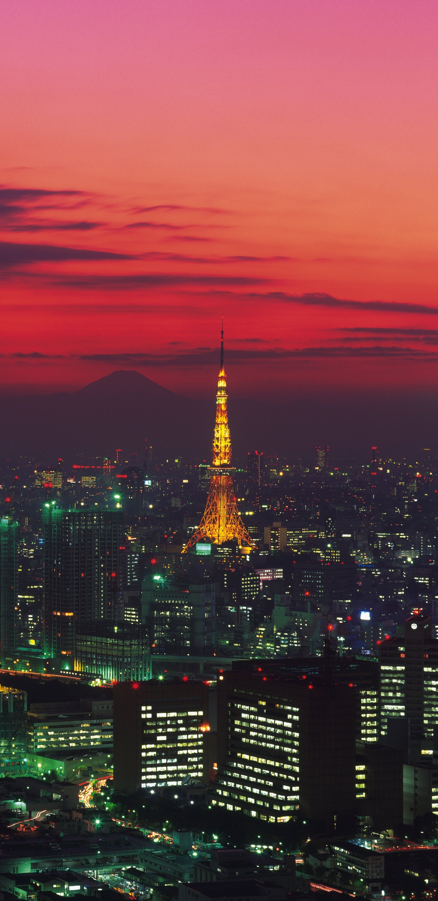 Horizonte de la Ciudad Durante la Noche. Wallpaper in 1440x2960 Resolution