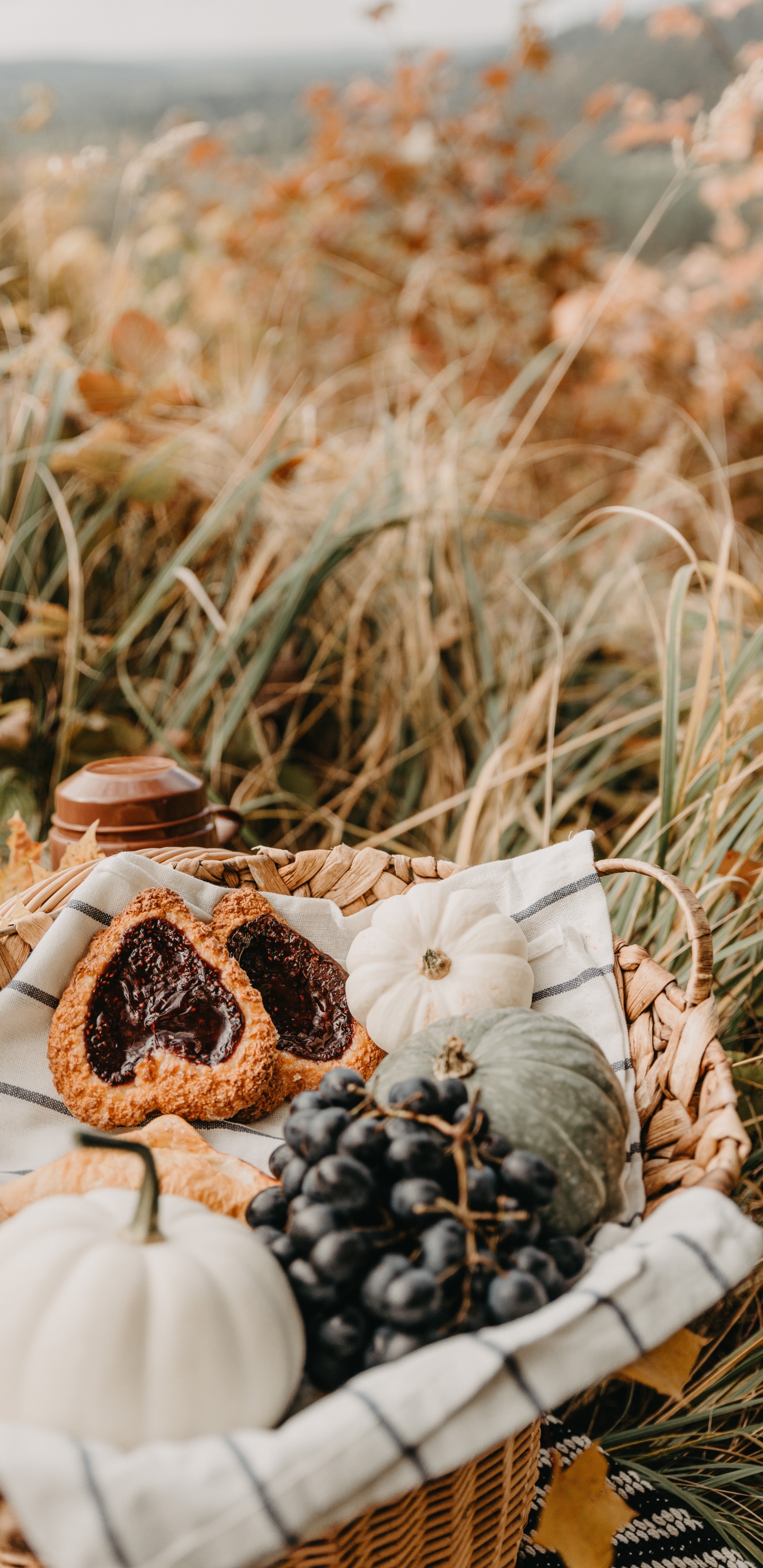 食品, 草家庭, 甜点, 甜头, 蓝莓 壁纸 1440x2960 允许