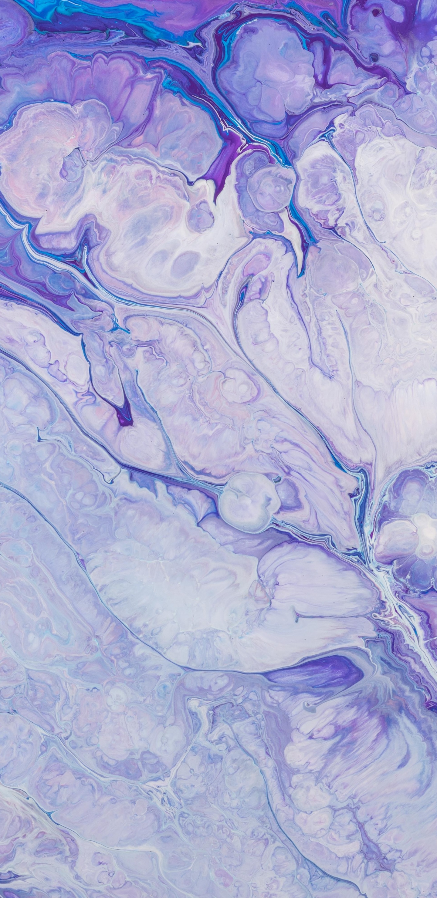 紫色的, 紫罗兰色, 气氛, Air, 壁画 壁纸 1440x2960 允许