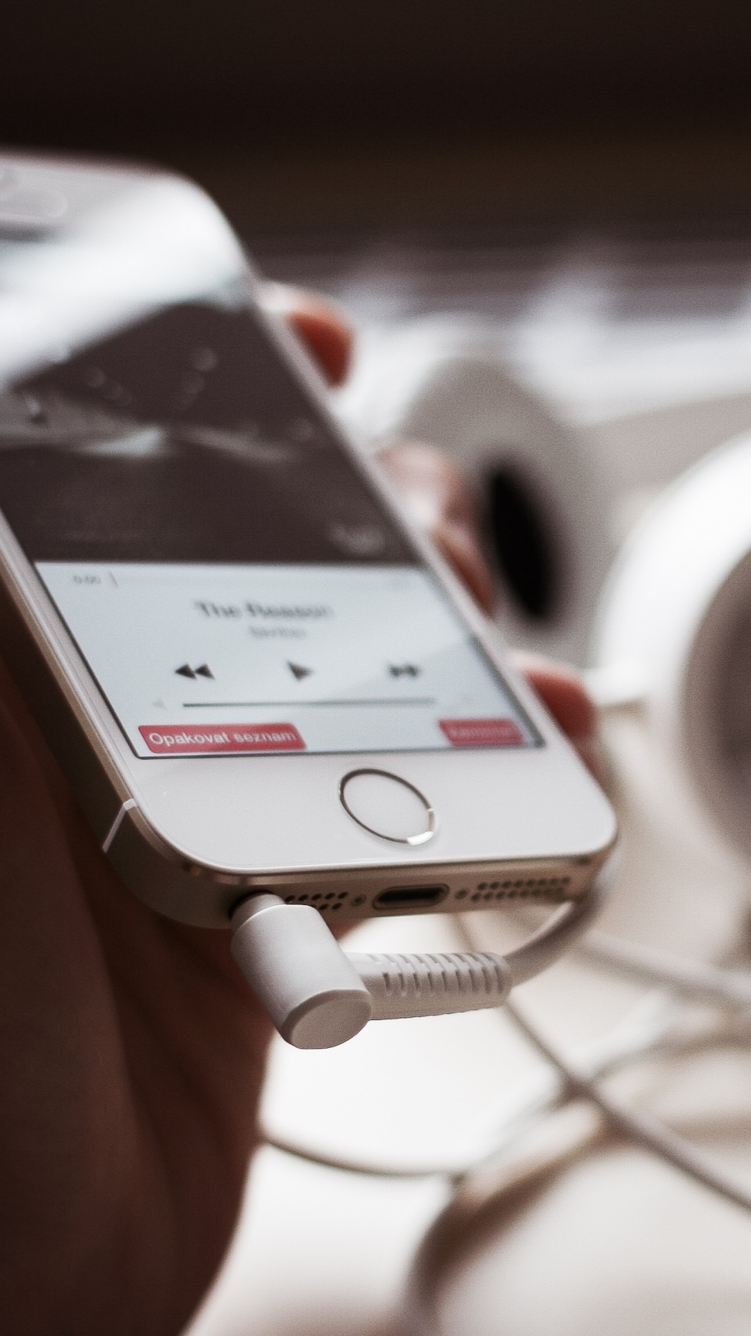 Person Mit Silbernem IPhone 6. Wallpaper in 1080x1920 Resolution