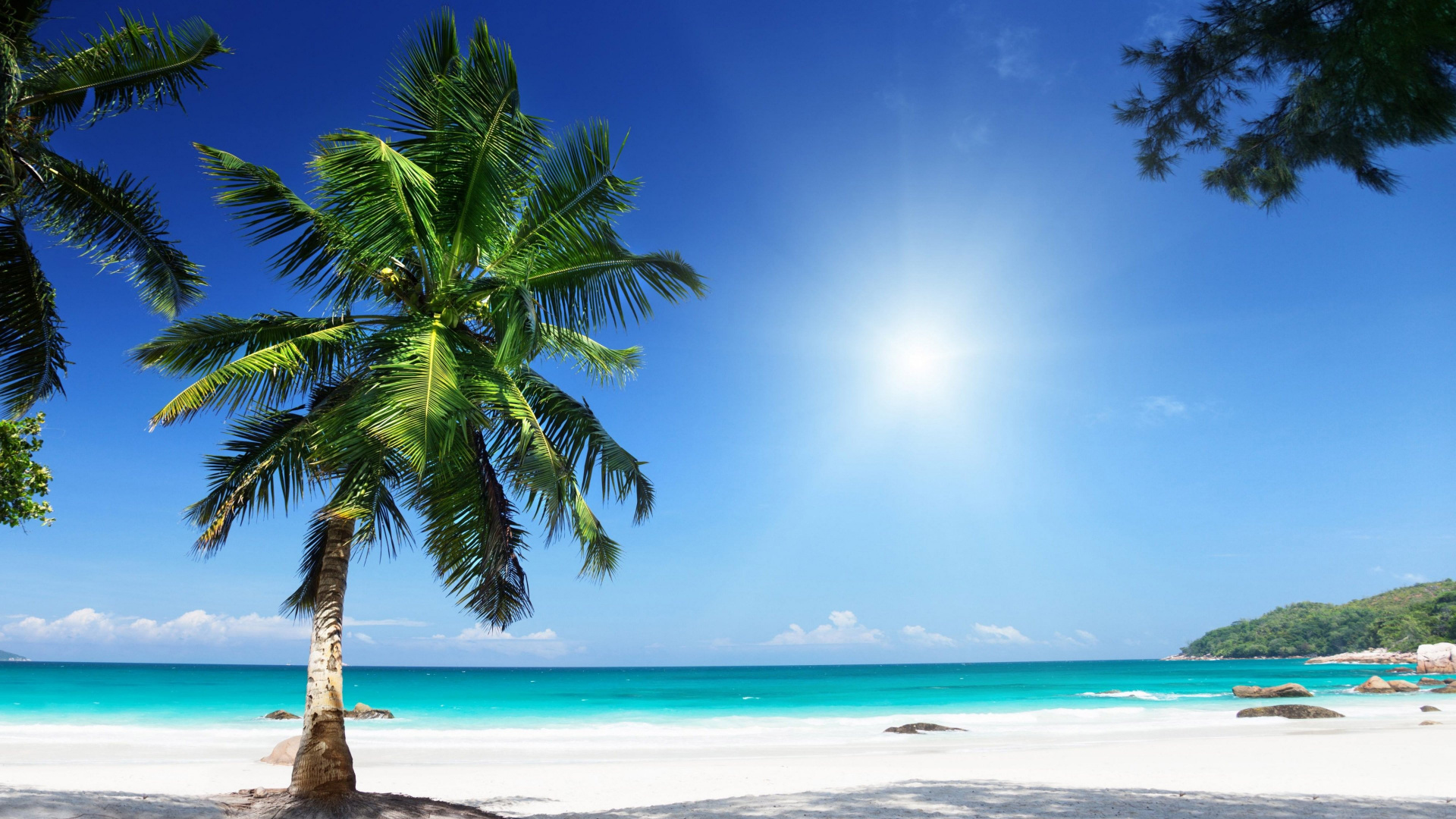 Coconut Tree Near Sea Shore During Daytime. Wallpaper in 1920x1080 Resolution