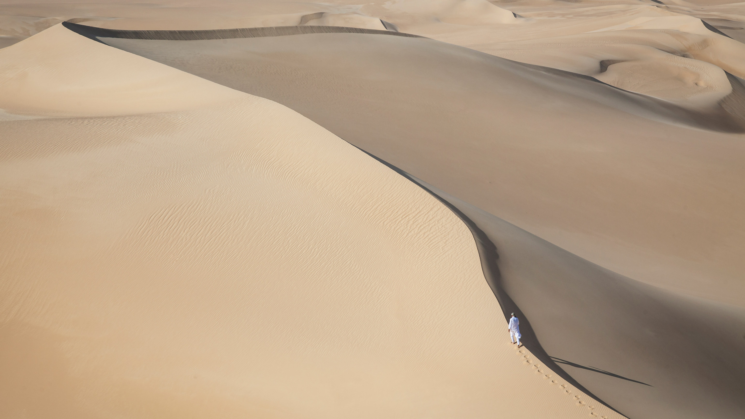 Brown Sand Field During Daytime. Wallpaper in 2560x1440 Resolution