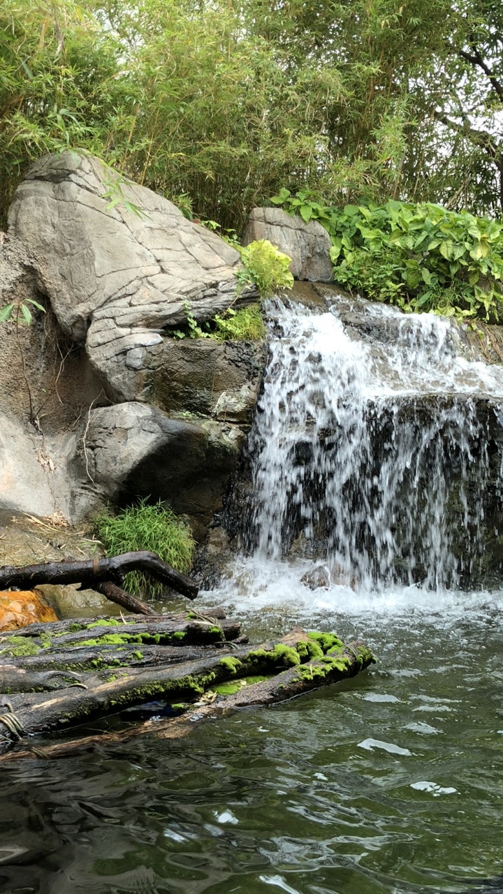 Nature, Waterfall, Water Resources, Watercourse, Water. Wallpaper in 720x1280 Resolution