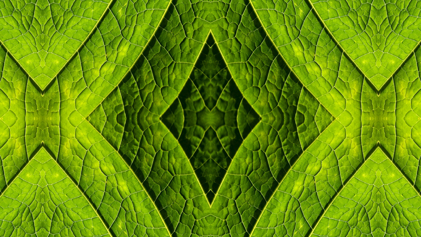 Pintura Abstracta Verde y Negra. Wallpaper in 1366x768 Resolution