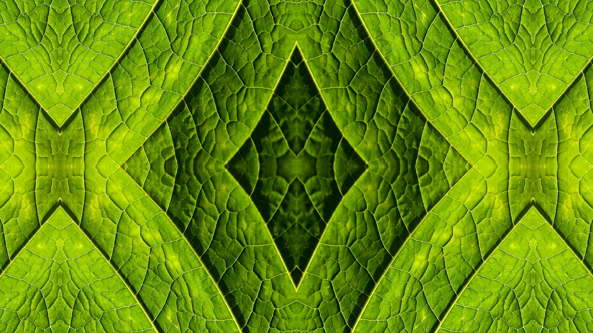 Pintura Abstracta Verde y Negra. Wallpaper in 1920x1080 Resolution