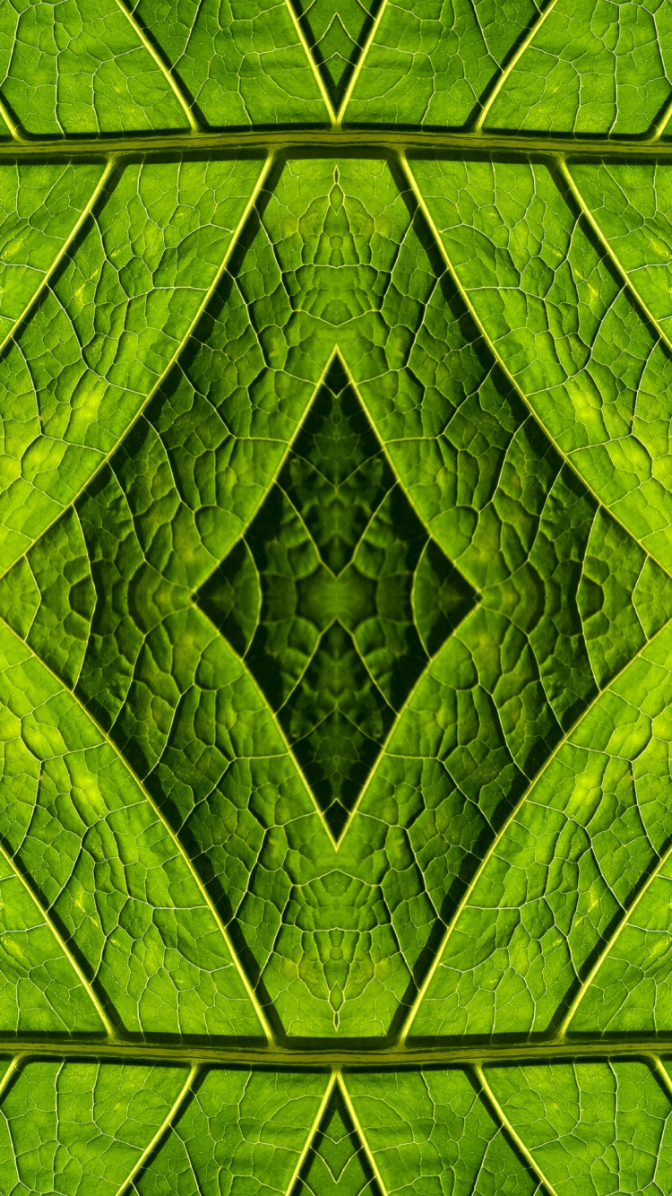 Pintura Abstracta Verde y Negra. Wallpaper in 750x1334 Resolution