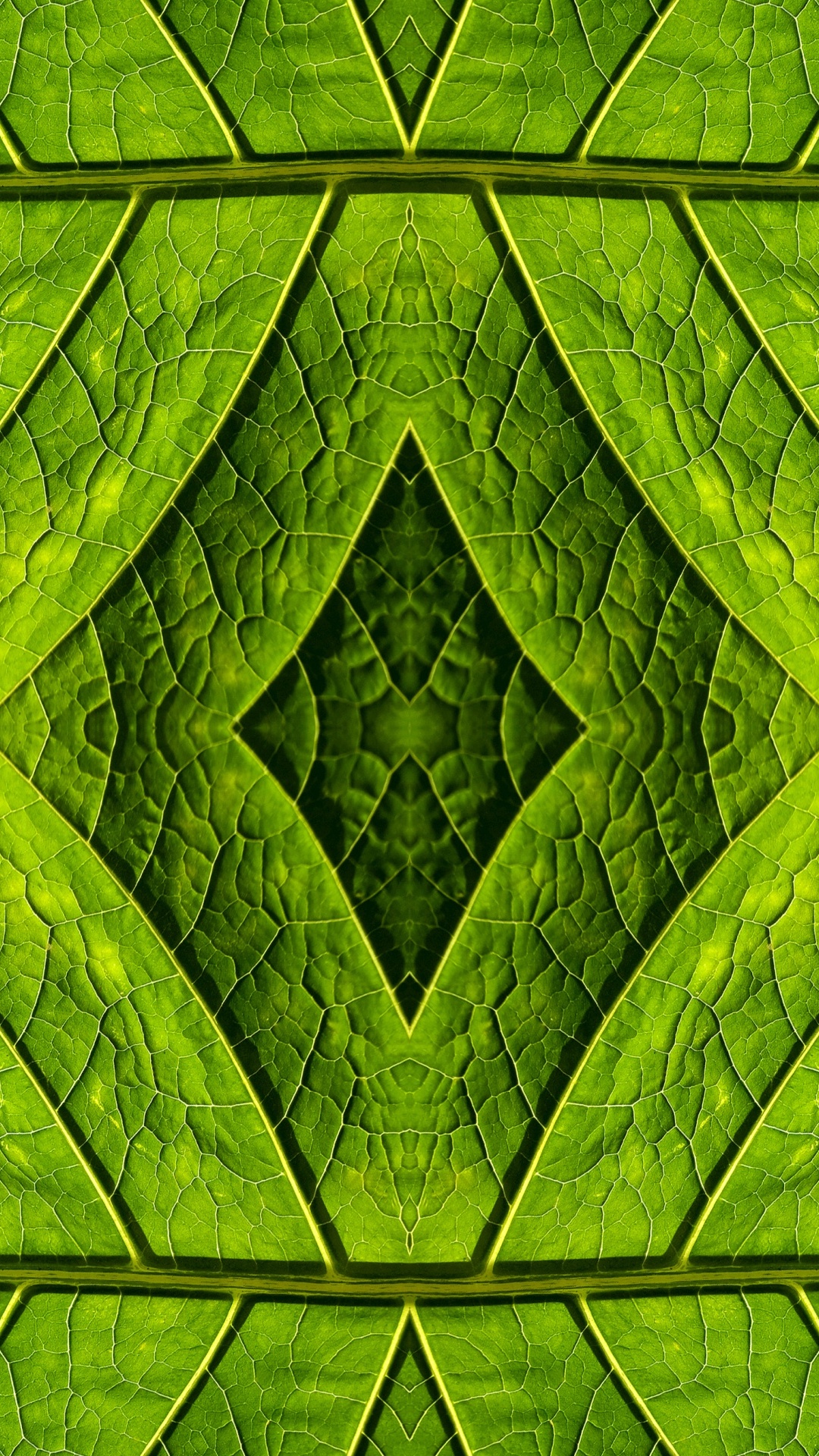 Green and Black Abstract Painting. Wallpaper in 1080x1920 Resolution