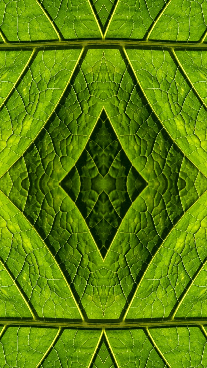 Green and Black Abstract Painting. Wallpaper in 720x1280 Resolution