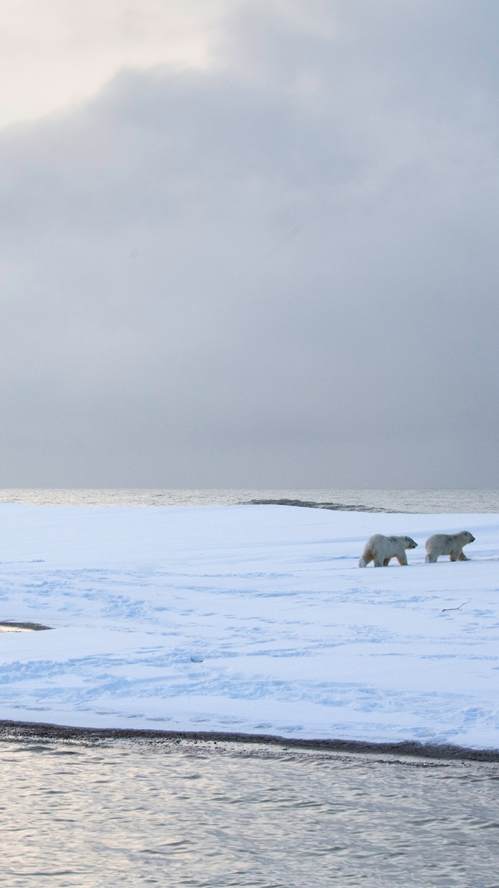 Playa de Arena Blanca Bajo el Cielo Nublado Blanco Durante el Día. Wallpaper in 720x1280 Resolution