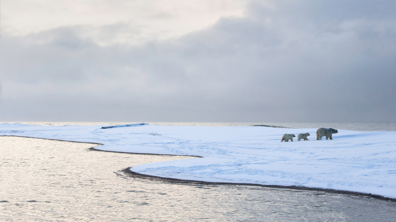 Plage de Sable Blanc Sous un Ciel Nuageux Blanc Pendant la Journée. Wallpaper in 1366x768 Resolution