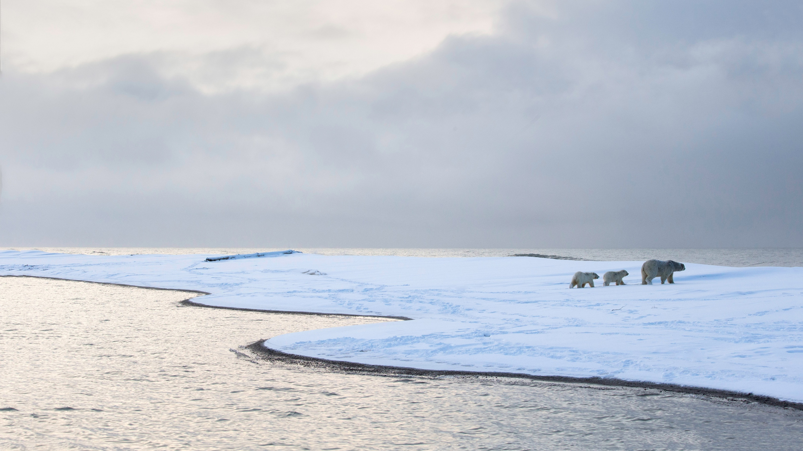 White Sand Beach Under White Cloudy Sky During Daytime. Wallpaper in 2560x1440 Resolution