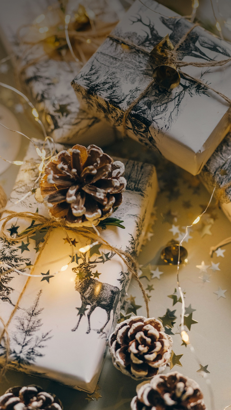 Regalo de Navidad, Regalo, Navidad, Envoltorio de Regalo, Ideas Para Regalos de Navidad. Wallpaper in 750x1334 Resolution