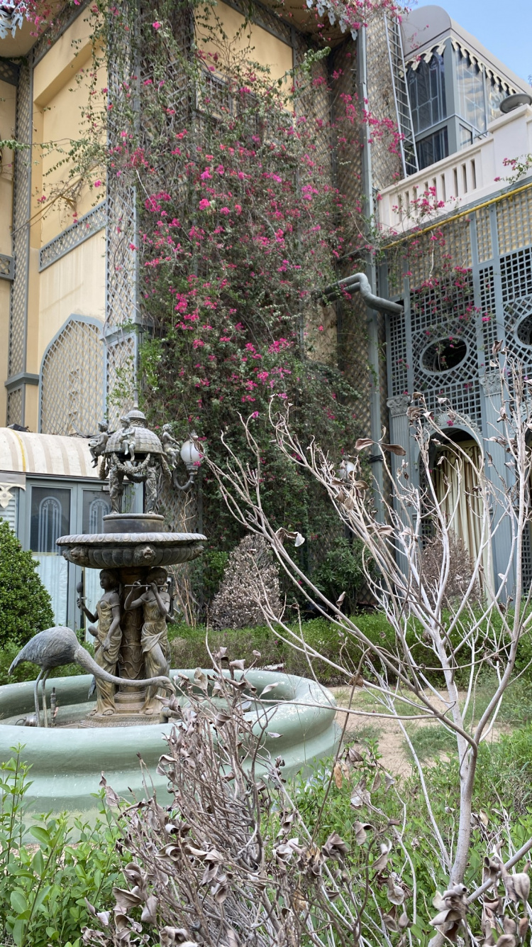 Tree, Fountain, Water Feature, Garden, Courtyard. Wallpaper in 750x1334 Resolution