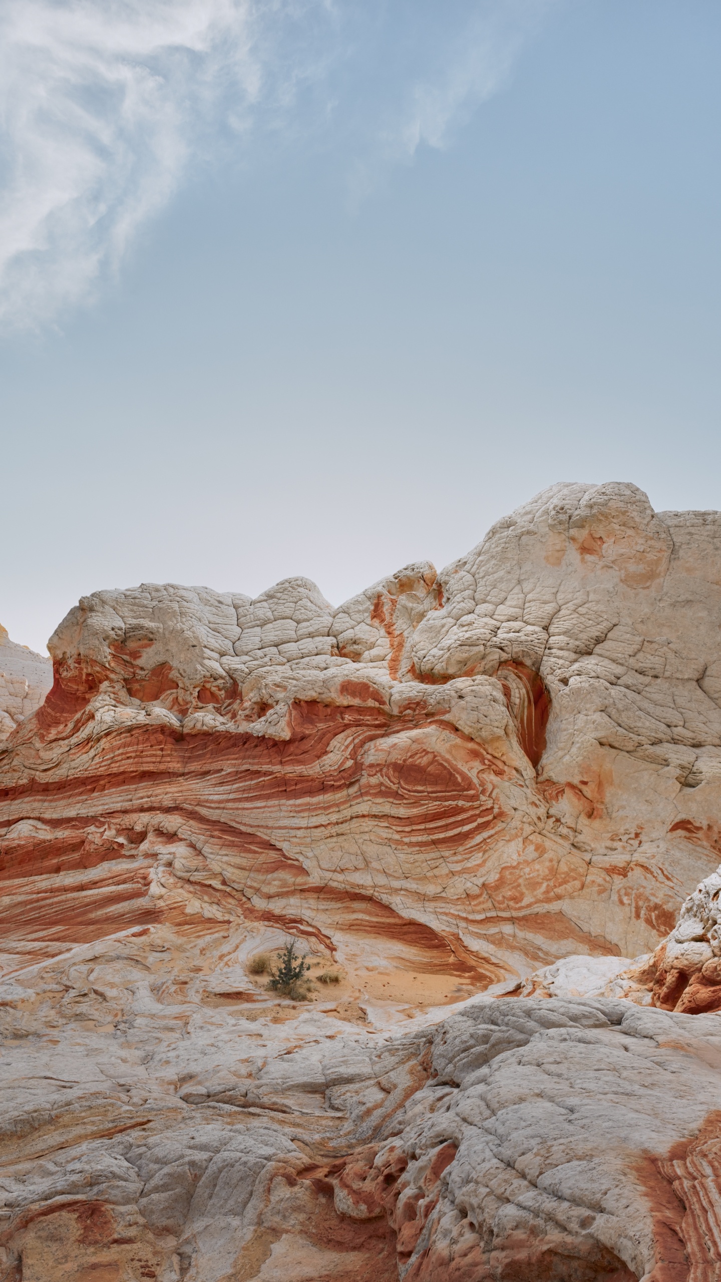 Ipad, Ipad Pro, Apple, IPad Air, IOS 14. Wallpaper in 1440x2560 Resolution