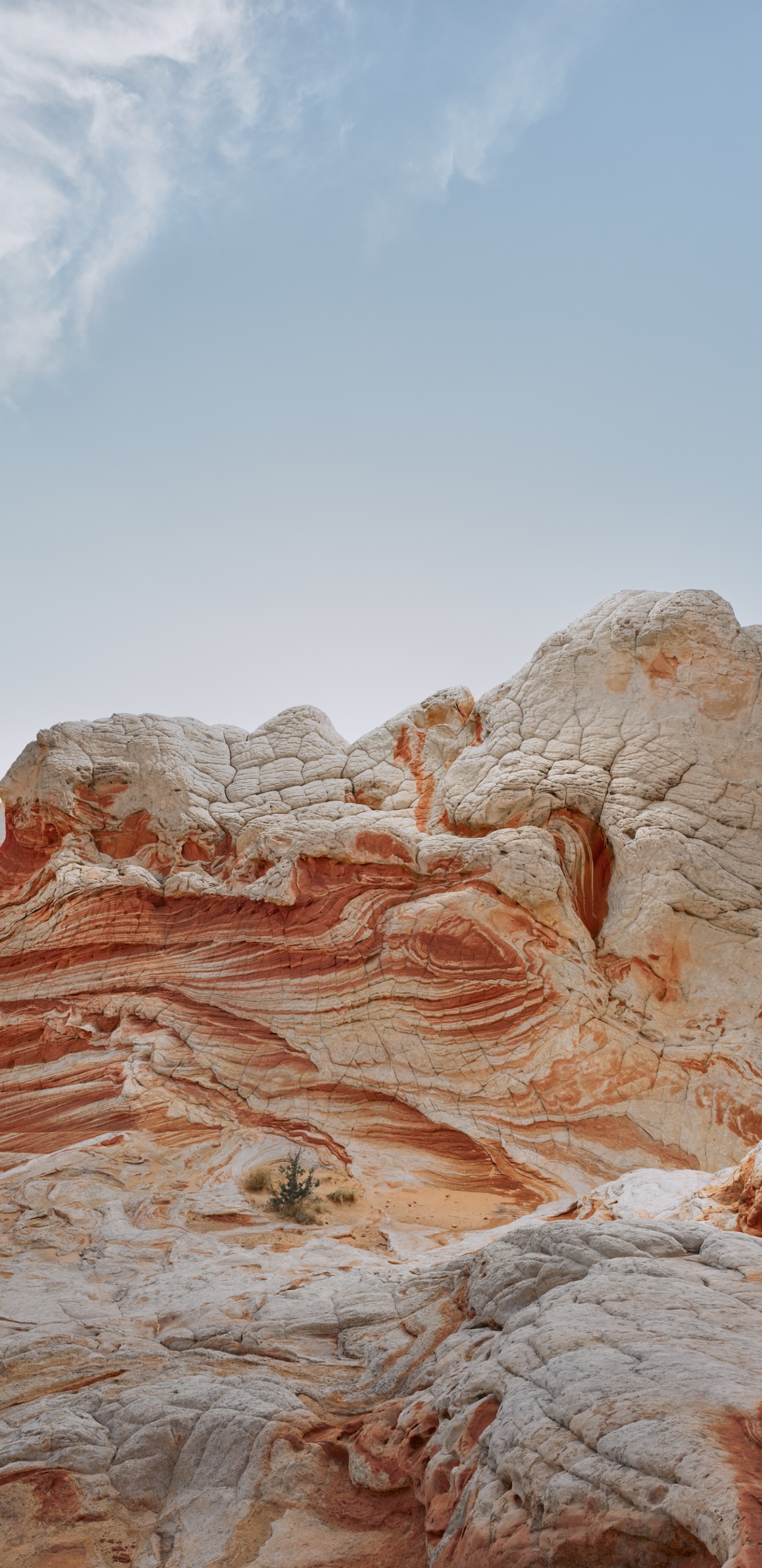 Ipad, Ipad Pro, Apple, IPad Air, IOS 14. Wallpaper in 1440x2960 Resolution