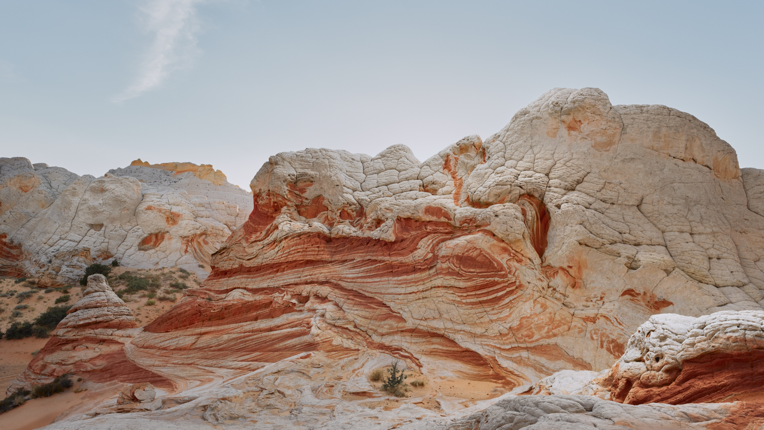 Ipad, Ipad Pro, Apple, IPad Air, IOS 14. Wallpaper in 2560x1440 Resolution