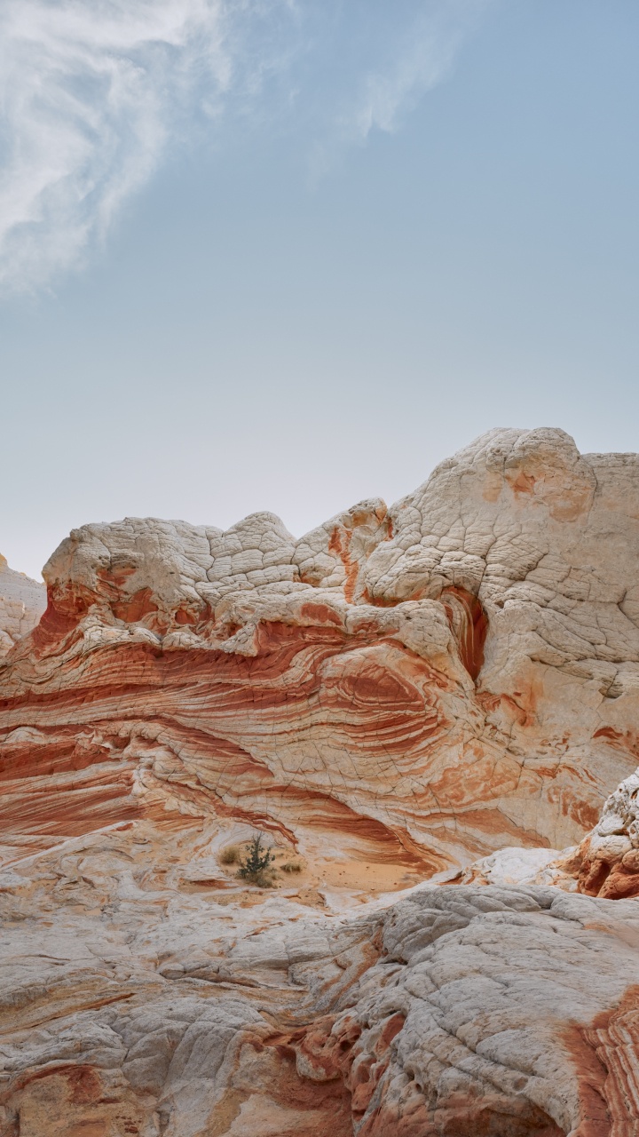 Ipad, Ipad Pro, Apple, IPad Air, IOS 14. Wallpaper in 720x1280 Resolution