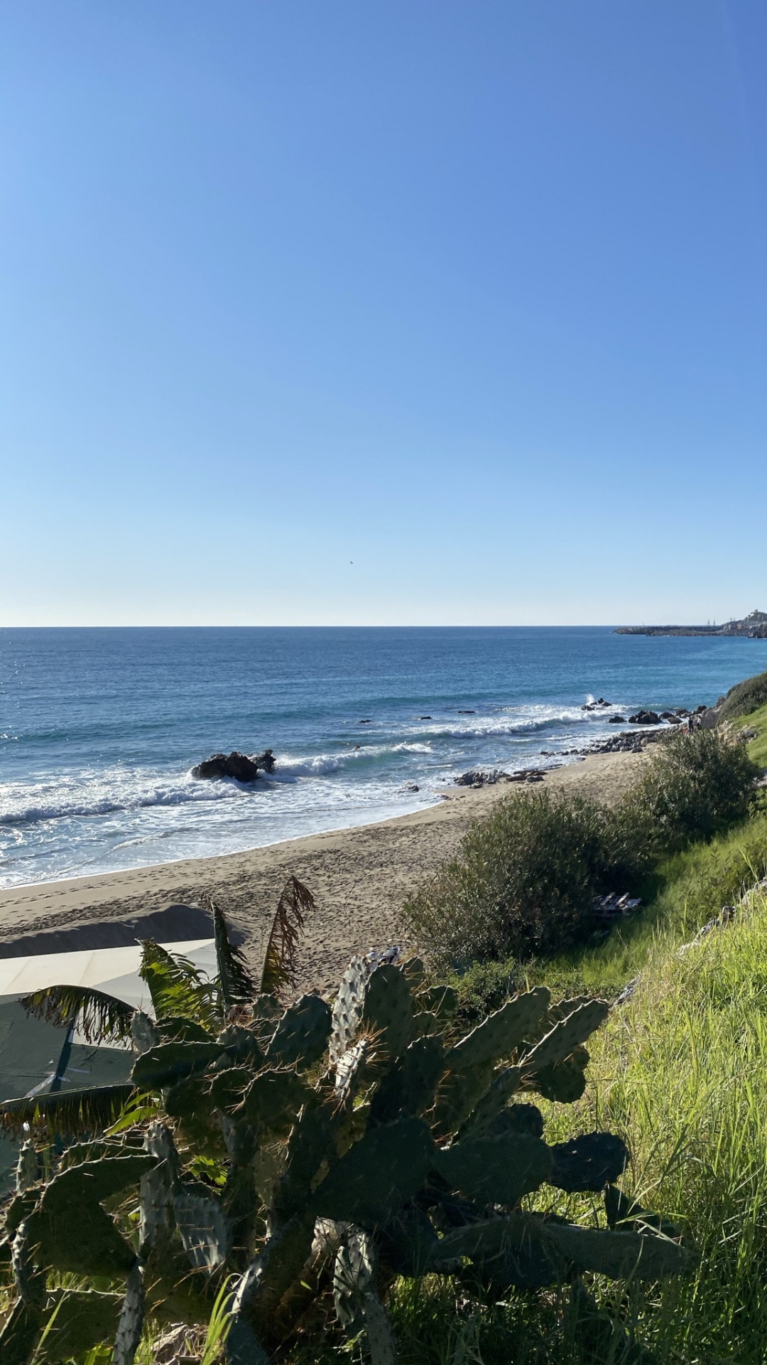 Kuronischer Spucknationalpark, Wasser, Ökoregion, Naturlandschaft, Gelände. Wallpaper in 1080x1920 Resolution