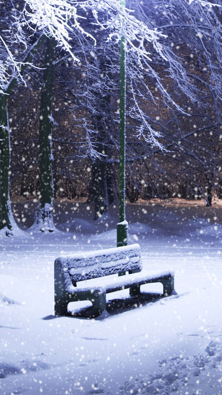 Banco de Madera Marrón Sobre Suelo Cubierto de Nieve. Wallpaper in 720x1280 Resolution