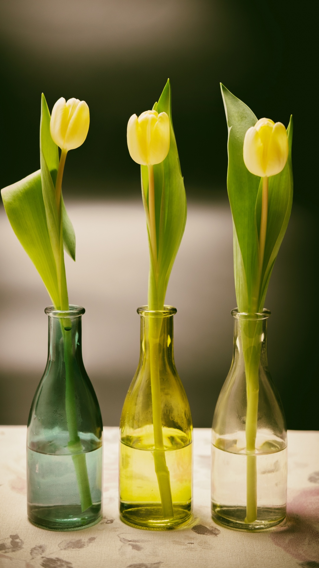 Tulipes Jaunes Dans un Vase en Verre Transparent. Wallpaper in 1080x1920 Resolution
