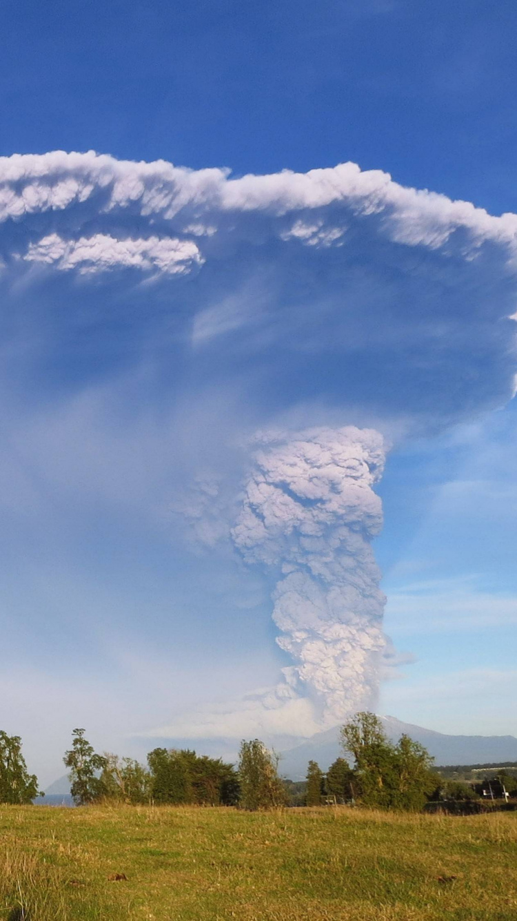 Campo de Hierba Verde Bajo un Cielo Azul y Nubes Blancas Durante el Día. Wallpaper in 750x1334 Resolution
