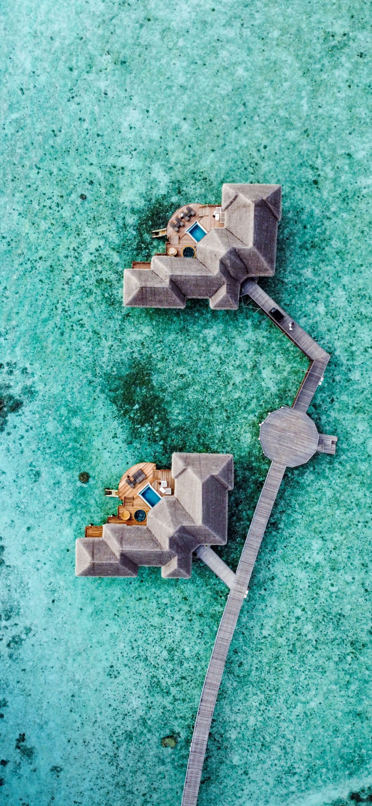 Sea, Green, Turquoise, Electronics, Body of Water. Wallpaper in 1242x2688 Resolution