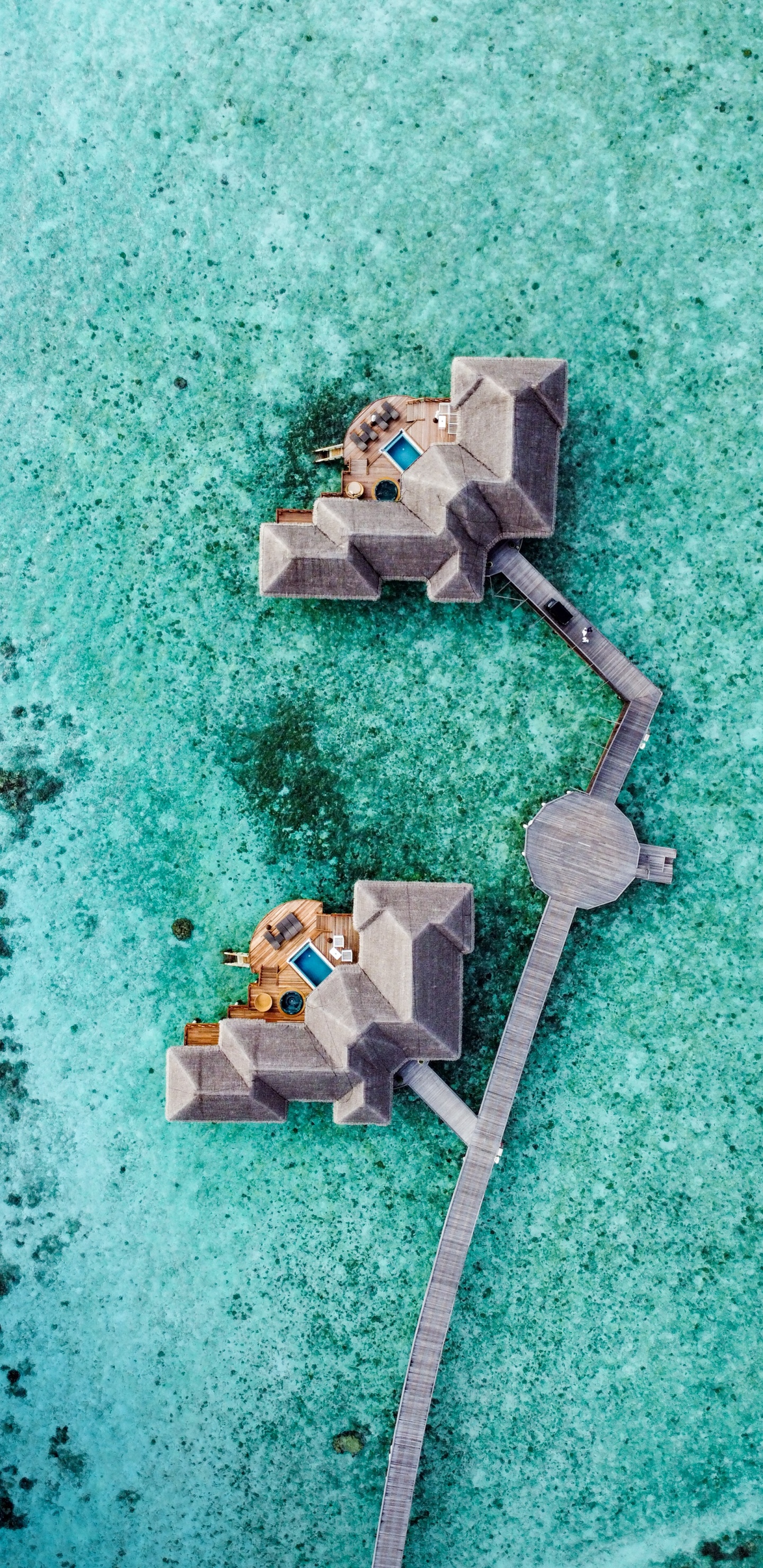 Mer, Green, Turquoise, Electronics, Corps de L'eau. Wallpaper in 1440x2960 Resolution