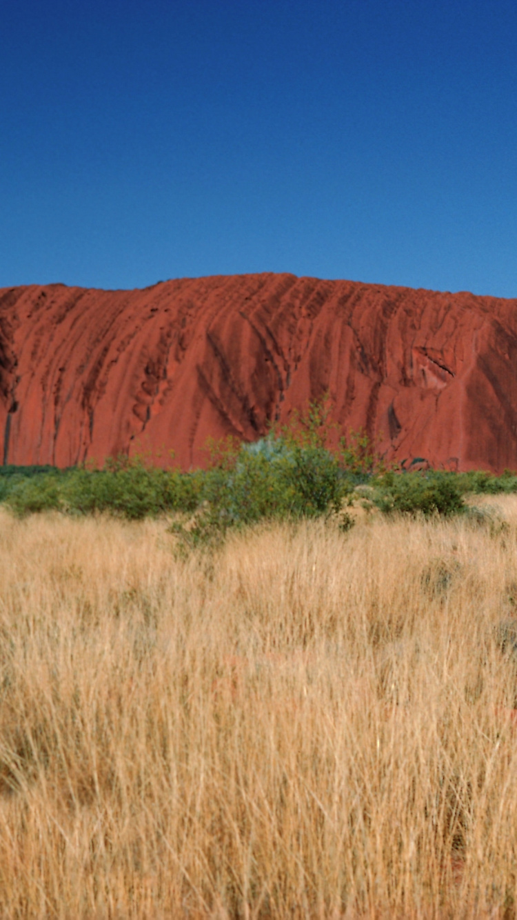 Montagne Brune Sous Ciel Bleu Pendant la Journée. Wallpaper in 750x1334 Resolution
