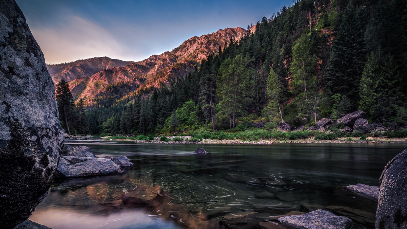 Green Trees Near Body of Water During Daytime. Wallpaper in 1366x768 Resolution