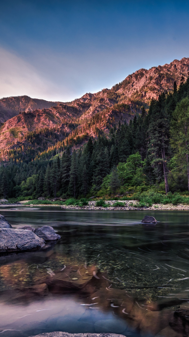 Green Trees Near Body of Water During Daytime. Wallpaper in 750x1334 Resolution