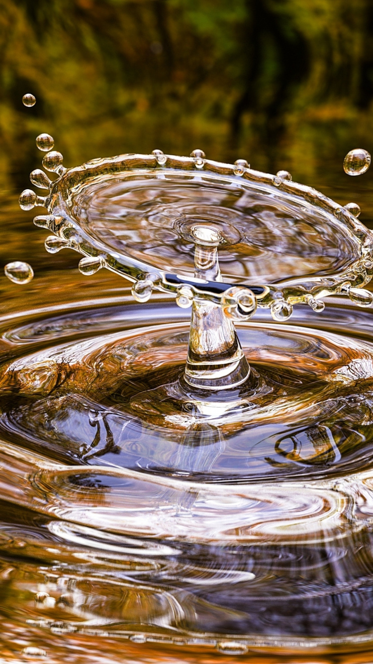 Wasser, Die Universität Von Arizona, Wasserressourcen, Drinkware, Natur. Wallpaper in 750x1334 Resolution