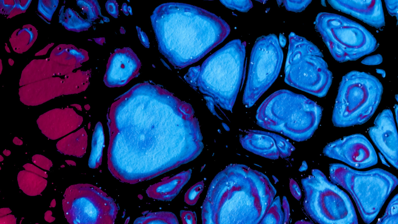 Azul Cobalto, Vidrieras, Arte Fractal, Accesorio, Arte. Wallpaper in 1366x768 Resolution