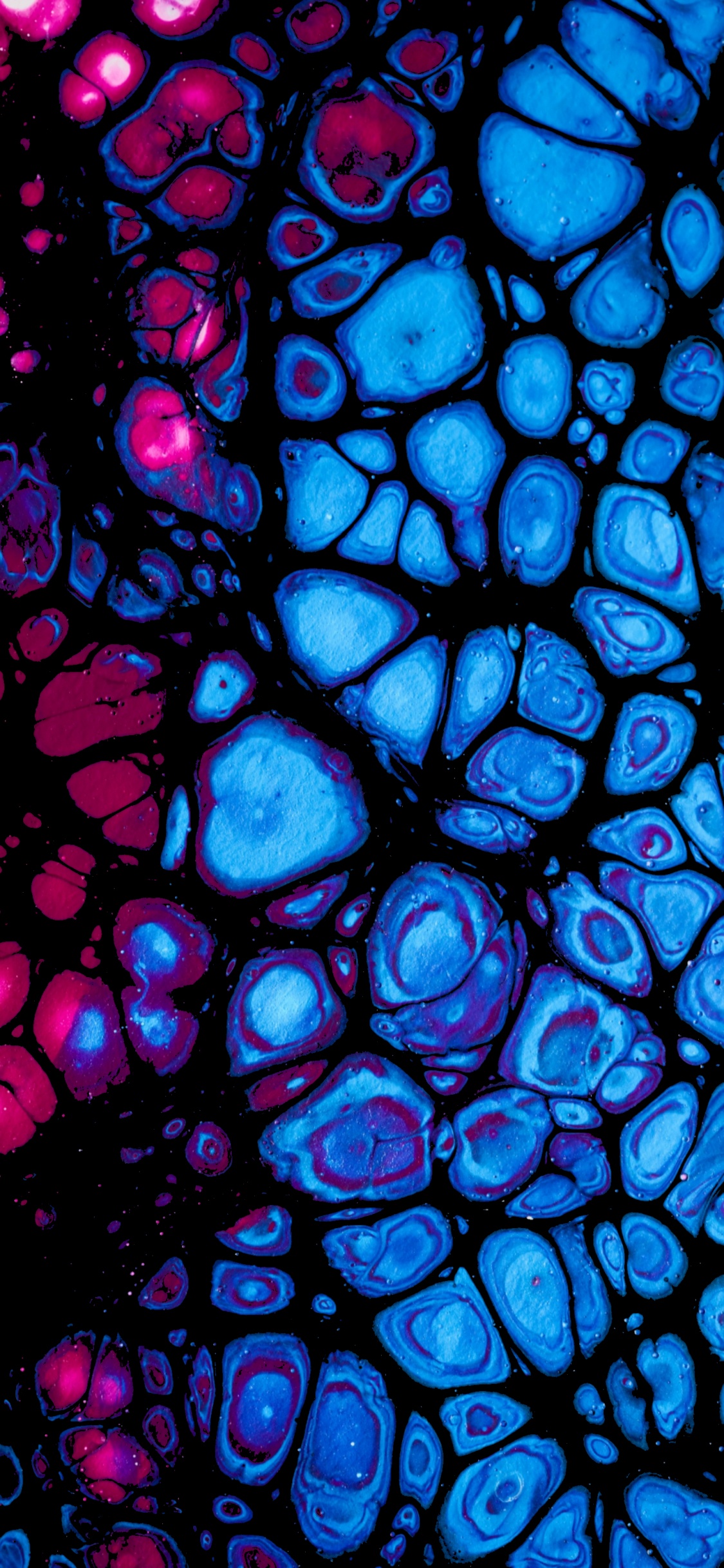 Cobalt Blue, Stained Glass, Fractal Art, Fixture, Art. Wallpaper in 1125x2436 Resolution