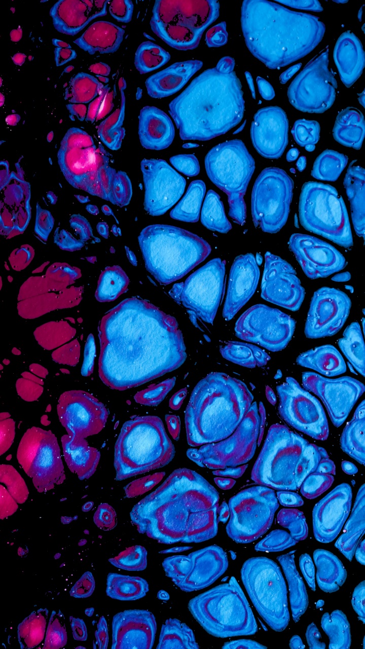 Cobalt Blue, Stained Glass, Fractal Art, Fixture, Art. Wallpaper in 720x1280 Resolution