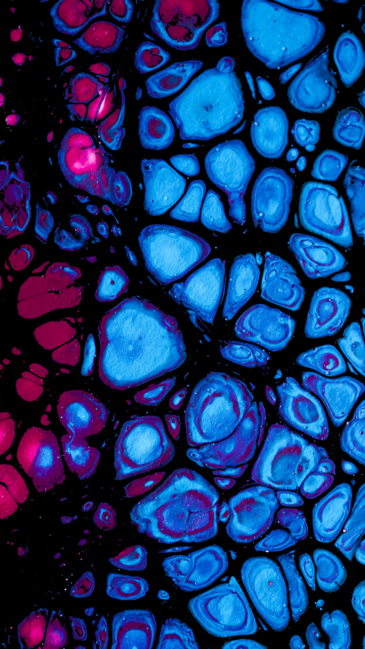 Cobalt Blue, Stained Glass, Fractal Art, Fixture, Art. Wallpaper in 750x1334 Resolution